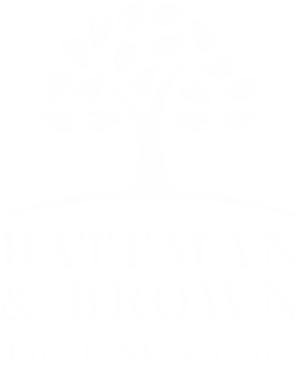 Bateman and Brown logo